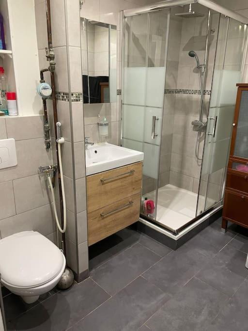 Appartement Proche Metro Villejuif La Екстериор снимка